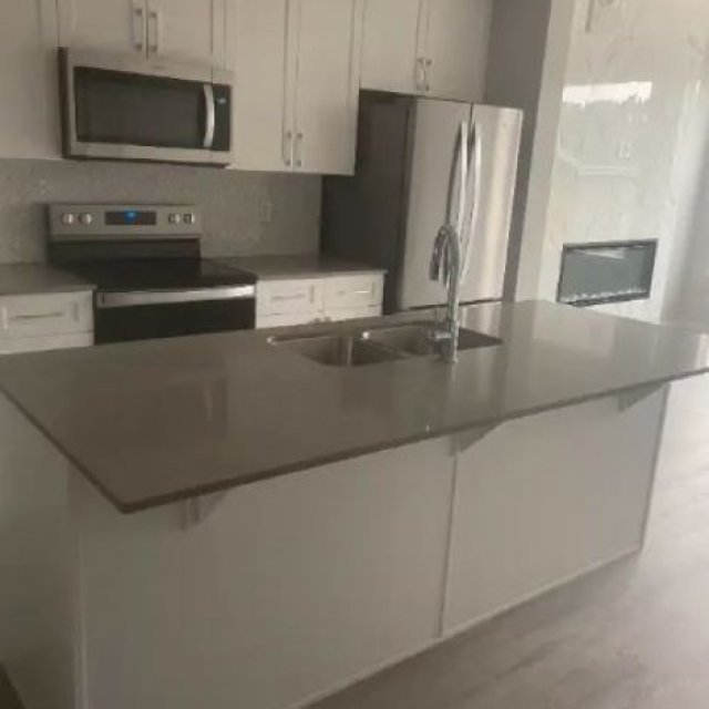 Brand new 3 BR house for rent