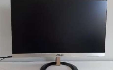 Asus 22" Computer Monitor